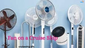 fan bring on cruise ship